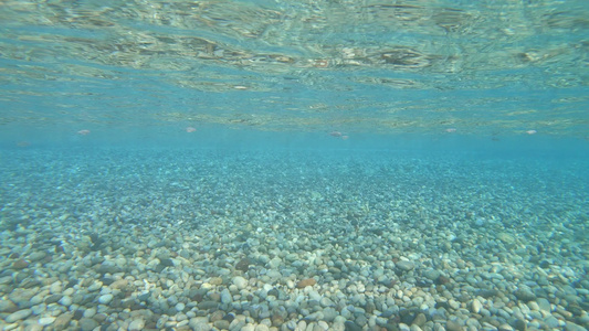 令人惊叹的蓝海水下景象视频