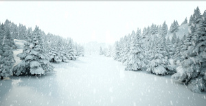 下雪的松树森林背景视频20秒视频