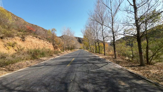 4k实拍开车行驶在秋天落叶的道路上视频