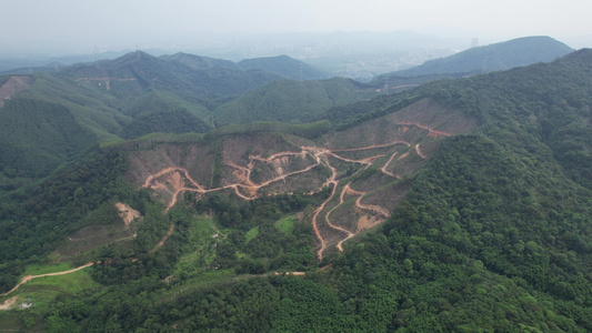 山地丛林植被航拍视频