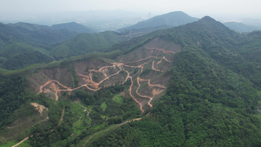 山地丛林植被航拍视频