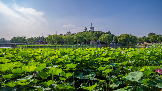 北京北海公园02 日景延时视频