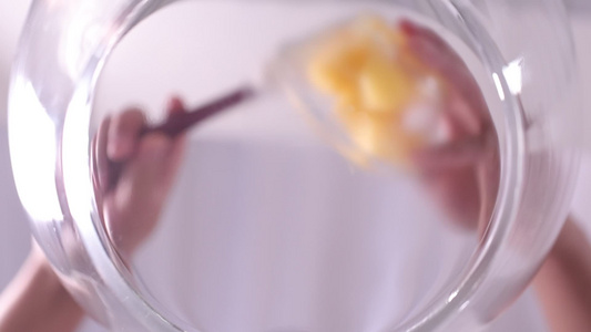 黄油奶油混合打发奶油裱花蛋糕 视频