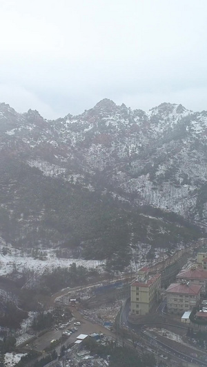 航拍青岛浮山森林公园被雪覆盖山上的雪44秒视频