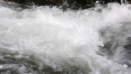 农村河流 溪水 水资源河水污染视频