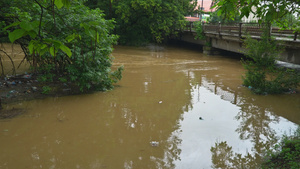 洪水支流河流的泥水挂在桥边的木柴碎成碎片30秒视频