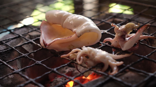 鱿鱼片在传统炉子上烧烤。味道鲜美的泰式海鲜菜单。泰国街头美食菜单。燃烧的木炭下面有炽热的火焰。热菜单，适合野餐视频
