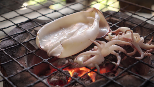 鱿鱼片在传统炉子上烧烤。味道鲜美的泰式海鲜菜单。泰国街头美食菜单。燃烧的木炭下面有炽热的火焰。热门菜单，适合野视频