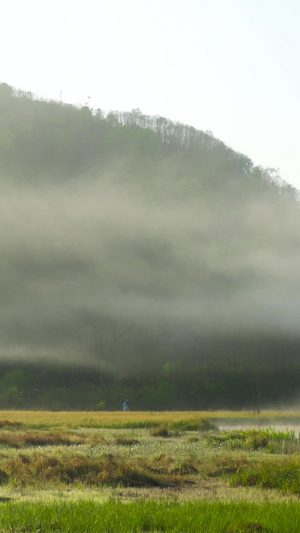 5A风景区神农架大九湖清晨晨雾飘散延时合集神农架林区27秒视频