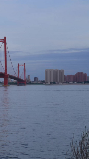 城市长江边武汉鹦鹉洲长江大桥下欣赏晚霞落日风景的一家三口亲子素材家庭陪伴58秒视频
