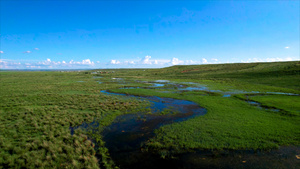5k航拍蓝天下碧绿的草原上蜿蜒的河流九曲十八湾26秒视频