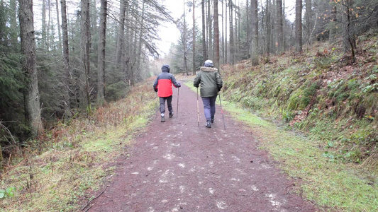 一对夫妇在乡村林地中步行行走的步行道路视频