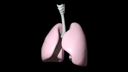 4K透明通道三维肺部展示素材视频