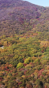 航拍南京中山陵自然景区视频