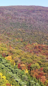 航拍南京中山陵国家景区视频