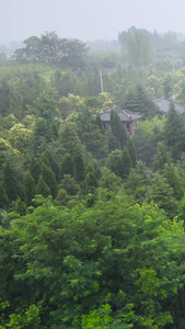 5A风景区芒砀山旅游区陈胜墓航拍合集芒砀山风景区视频