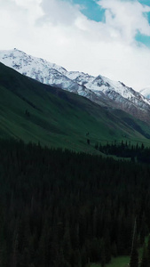 航拍新疆伊犁雪山草原森林自然风景4A景点视频