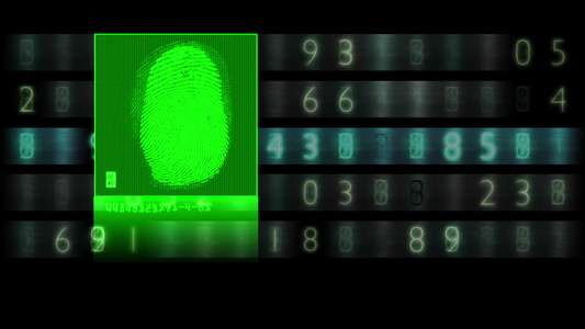 科技指纹扫描结果为成功匹配动画效果视频