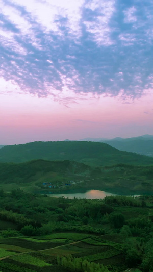 航拍南山风景南山竹海39秒视频