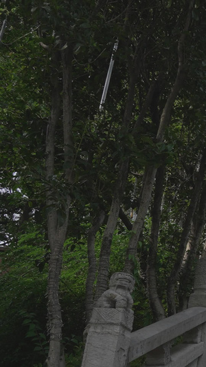 湖北旅游地标5A级景区琴川阁古建筑台阶街景素材晴川阁素材51秒视频