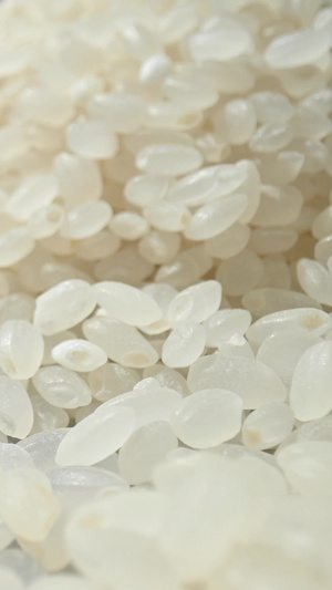 米堆推进世界粮食日7秒视频