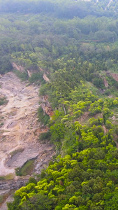 芒砀山5A风景区汉梁孝王后陵墓道路登山道路视频