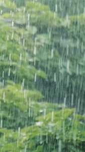 下雨雨滴慢动作屋檐雨滴视频