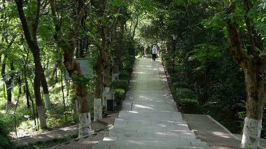 长沙岳麓山登山步道树林空镜视频