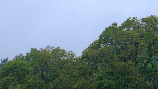 初秋雨中山脉云雾缭绕的绝美自然风光视频