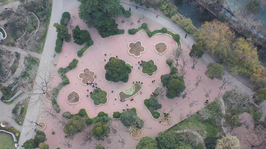 航拍河南郑州人民公园小花园视频