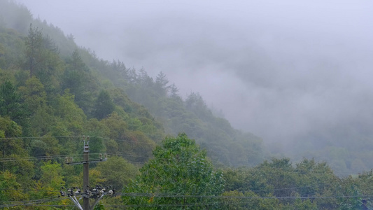 初秋雨中山脉云雾缭绕的绝美自然风光视频