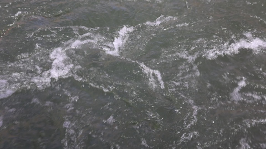 农村河流 溪水 水资源河水污染视频