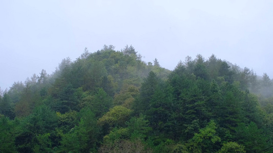 初秋雨中山脉云雾缭绕的绝美自然风光视频