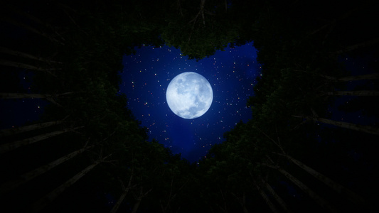 仰望着树木的爱心形状月亮照耀着时落的云视频