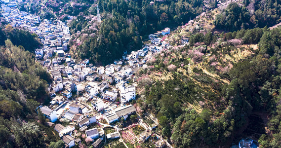 皖南歙县卖花渔村春季梅花盛开航拍延时视频