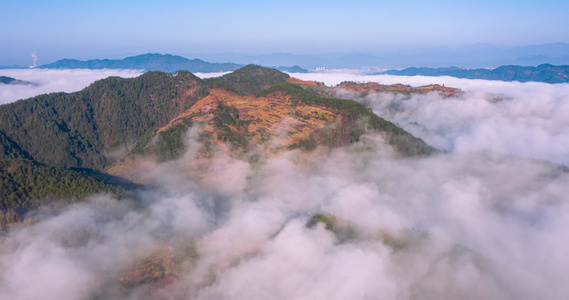 皖南山区歙县卖花渔村春季梅花云海航拍延时视频