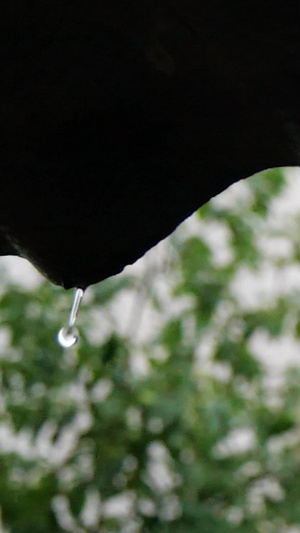 夏季大雨87秒视频