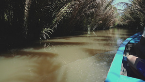 西亚州维特南的湄公河9秒视频