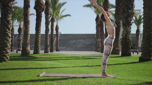 女人在公园里棕榈树下做瑜伽23秒视频