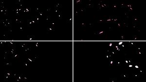 一组漂浮花瓣输出110秒视频