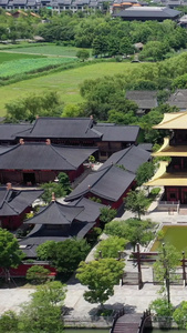 上海松江广富林遗址公园风光上海旅游视频
