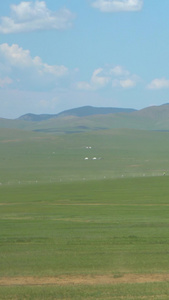 蒙古那达慕传统赛马比赛实拍视频