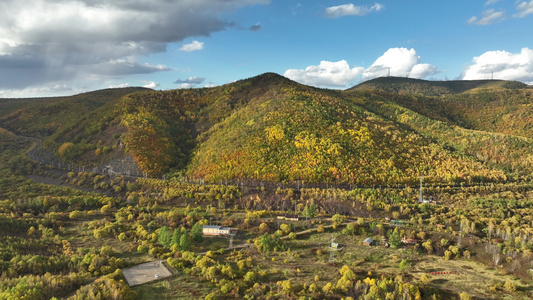 航拍秋季大兴安岭林区风景视频