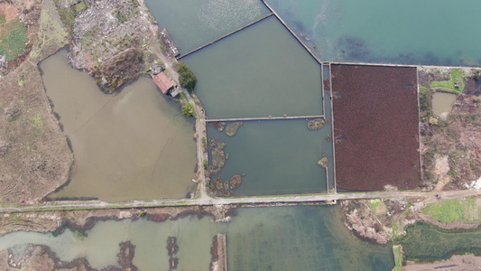 4K俯拍农业乡村鱼塘养殖农业发展视频视频