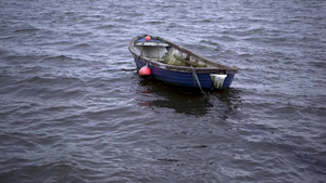 北爱尔兰贝尔法斯特海中来回摇摆的划艇11秒视频