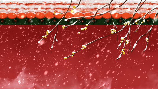 雪花3宫墙视频