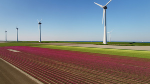 荷兰弗莱沃兰乌尔克灯泡场和海中的风力涡轮机31秒视频