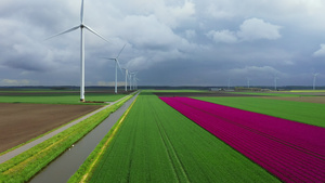 荷兰泽沃尔德灯泡领域的风力涡轮机27秒视频
