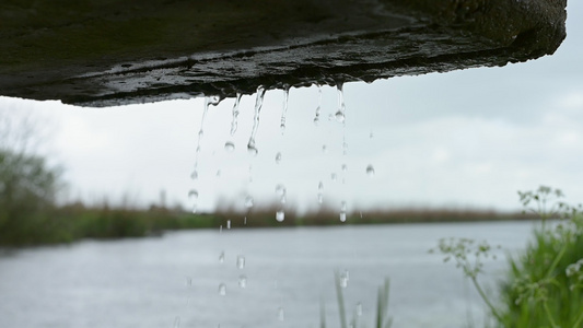 荷兰运河在雨中的场景视频