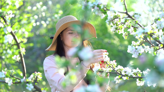 美丽的年轻女子,享受着盛开的苹果花春果园视频